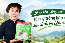 Đặc sản vùng cao: Từ cây bản địa đến sinh kế bền vững