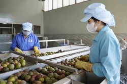 Ngân hàng mở rộng tín dụng, lãi vay 'chọn' phương án kinh doanh