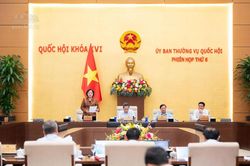 Miễn thuế cho giáo dục: Cơ quan thẩm tra đề nghị làm rõ phạm vi, điều kiện