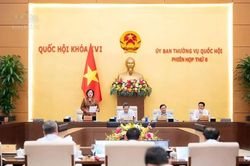 Có nên miễn thuế với doanh nghiệp cung cấp suất ăn của học sinh, người bệnh?