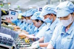 Không trả tiền phép năm, doanh nghiệp có thể bị phạt 100 triệu đồng