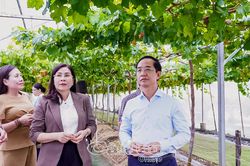 Phường Hiệp Thành cần ưu tiên thu hút đầu tư du lịch gắn với lợi thế