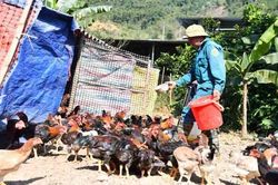 Phú Thọ: Tổng dư nợ các chương trình tín dụng chính sách đạt trên 20,3 nghìn tỷ đồng