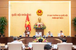 Làm rõ cơ sở đề xuất miễn thuế thu nhập từ cung cấp suất ăn cho cơ sở giáo dục, khám chữa bệnh