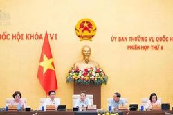 Hoàn thiện khung pháp lý cho giao dịch hàng hóa phái sinh