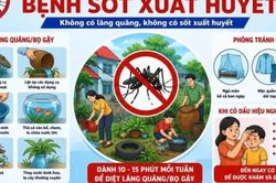 Khánh Hòa tăng cường phòng chống sốt xuất huyết, ngăn dịch bùng phát, lan rộng