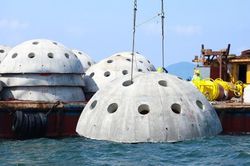 Hà Tĩnh nỗ lực tái tạo nguồn lợi thủy sản