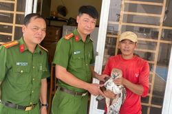 Người dân An Giang chủ động giao nộp chim diều hoa Miến Điện