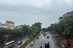 Hà Nội xây dựng kế hoạch trồng cây, trồng rừng năm 2027