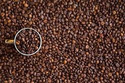 Giá cà phê hôm nay 22/9: Giảm xuống mức thấp nhất 3 tháng