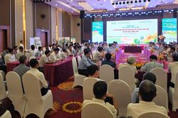Nghệ An mở rộng vùng lúa phát thải thấp, tiết kiệm hơn 40% nước tưới