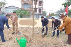 Hà Nội lên kế hoạch trồng cây, trồng rừng năm 2027