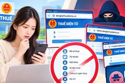 Cảnh báo từ cơ quan Thuế: Người dân không nhập mã số thuế, tài khoản, mật khẩu trong trường hợp sau