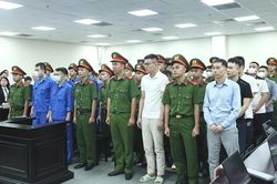 Nhóm đối tượng trong đường dây sản xuất buôn bán sữa giả dành cho trẻ sơ sinh và 'bà bầu' hầu tòa