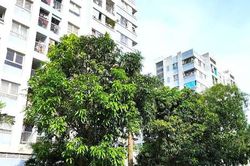 Khuyến khích xây nhà ở cho thuê không bằng vốn Nhà nước