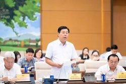 Cắt giảm 4 thủ tục trong cấp giấy chứng nhận đủ điều kiện hoạt động huấn luyện an toàn, vệ sinh lao động
