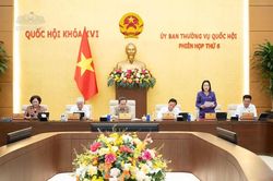 Đề xuất bảo hiểm xã hội bắt buộc đối với người làm việc trên nền tảng số