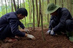 Quảng Trị quy tập 7 hài cốt liệt sĩ tại hai địa điểm