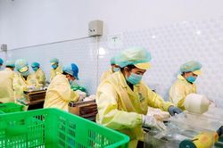 Xuất khẩu rau quả hướng tới mục tiêu 10 tỷ USD
