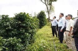 Khát vọng vươn lên từ vùng đất khó