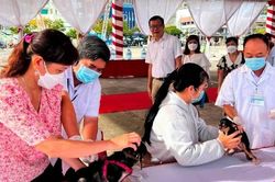 Vĩnh Long ghi nhận nhiều trường hợp tử vong do bệnh dại