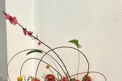 'Sóng trăng' - khơi dậy những rung cảm nghệ thuật từ Ikebana