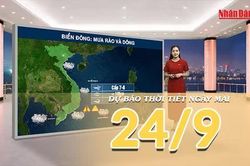 [Video] Dự báo thời tiết đêm nay và ngày mai 24/9/2026: Trung Bộ tiếp tục mưa lớn, đề phòng nguy cơ lũ quét và sạt lở
