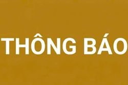 Công ty Cổ phần Kinh doanh than Miền Bắc - Vinacomin thông báo hủy thầu