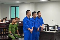 Xét xử ông trùm ma túy và những kẻ tiếp tay