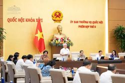 Đề xuất 3 nhóm tội phạm được áp dụng thí điểm cơ chế thu hồi và xử lý tài sản không qua kết tội