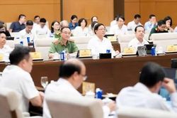 Đề xuất nâng mức phạt tiền tối đa cá nhân vi phạm hành chính lên 1,5 tỷ đồng
