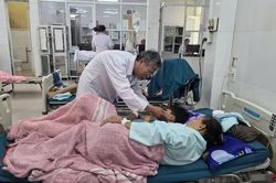 Vụ ngộ độc thực phẩm ở Quảng Trị: Phát hiện vi khuẩn Salmonella