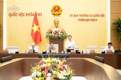 Thảo luận về dự án Nghị quyết thí điểm cơ chế thu hồi và xử lý tài sản liên quan đến tội phạm không qua kết tội