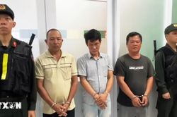 TP Hồ Chí Minh khởi tố 10 bị can trong vụ sản xuất, buôn bán hơn 505 tấn gas giả