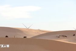 Lâm Đồng liên kết điểm đến, tạo hành trình hấp dẫn 'níu chân' du khách