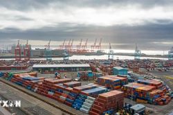 OECD điều chỉnh nâng dự báo tăng trưởng toàn cầu năm 2026