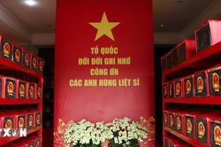 Sau 3 tháng, quy tập được 664 hài cốt liệt sỹ tại công viên Lê Thị Riêng