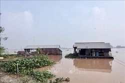 An Giang cảnh báo nguy cơ ngập do lũ kết hợp triều cường