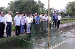 Phú Thọ: Hướng tới phát triển nông nghiệp giá trị cao