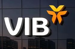 3 khoảng trống phía sau bức tranh lợi nhuận của VIB