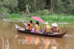 Mùa nước nổi, Đồng Tháp đẹp theo một cách rất riêng