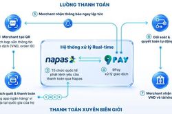 Từ mã QR đến hạ tầng kết nối thương mại xuyên biên giới