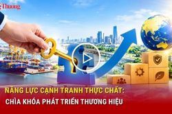 Năng lực cạnh tranh thực chất: Chìa khóa phát triển thương hiệu