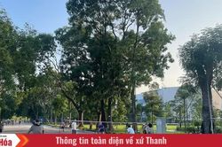 Từ những bước chân đến nếp sống khỏe mỗi ngày