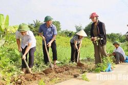 Nông Cống xây dựng môi trường “sáng - xanh - sạch - đẹp”