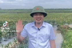 Chủ tịch UBND xã vùng lũ đăng video trên mạng xã hội động viên, hướng dẫn bà con chăm sóc rau màu