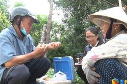 Nguy cơ bệnh dại luôn hiện hữu