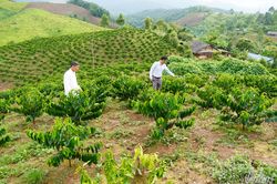 Đề án 79 - Kiến tạo cuộc sống mới nơi biên cương (bài 3)