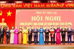Công bố quyết định thành lập Đảng bộ MTTQ, các đoàn thể tỉnh và Đảng bộ HĐND tỉnh