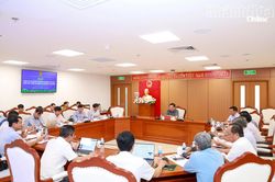 Tập trung rà soát, xác định hiện trạng rừng trên địa bàn tỉnh